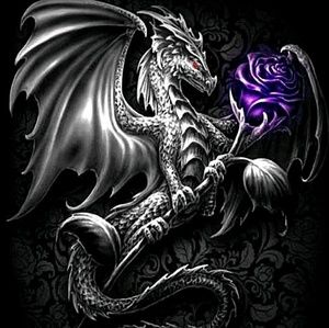 Meet your Posher, Sally